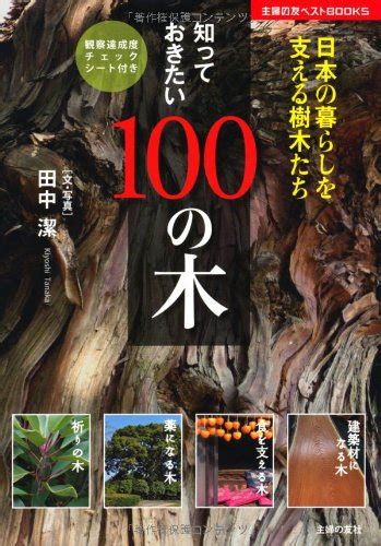 木名|日本の樹木一覧｜知っておきたい日本の樹木の名前14選！｜日本 